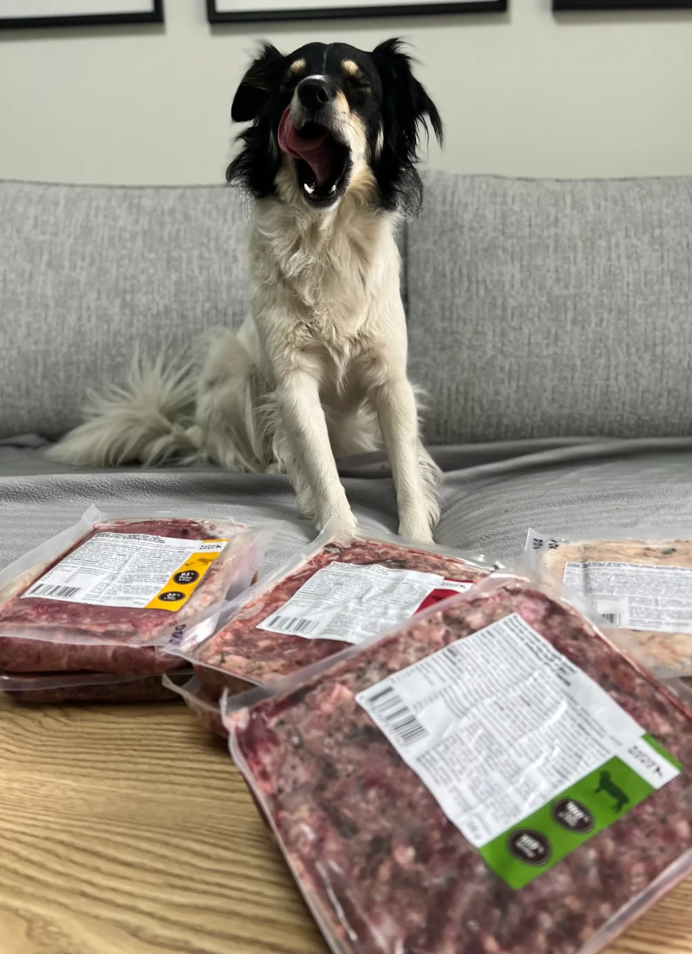 Rinkinys pradžiai, 8 vnt. po 500 g