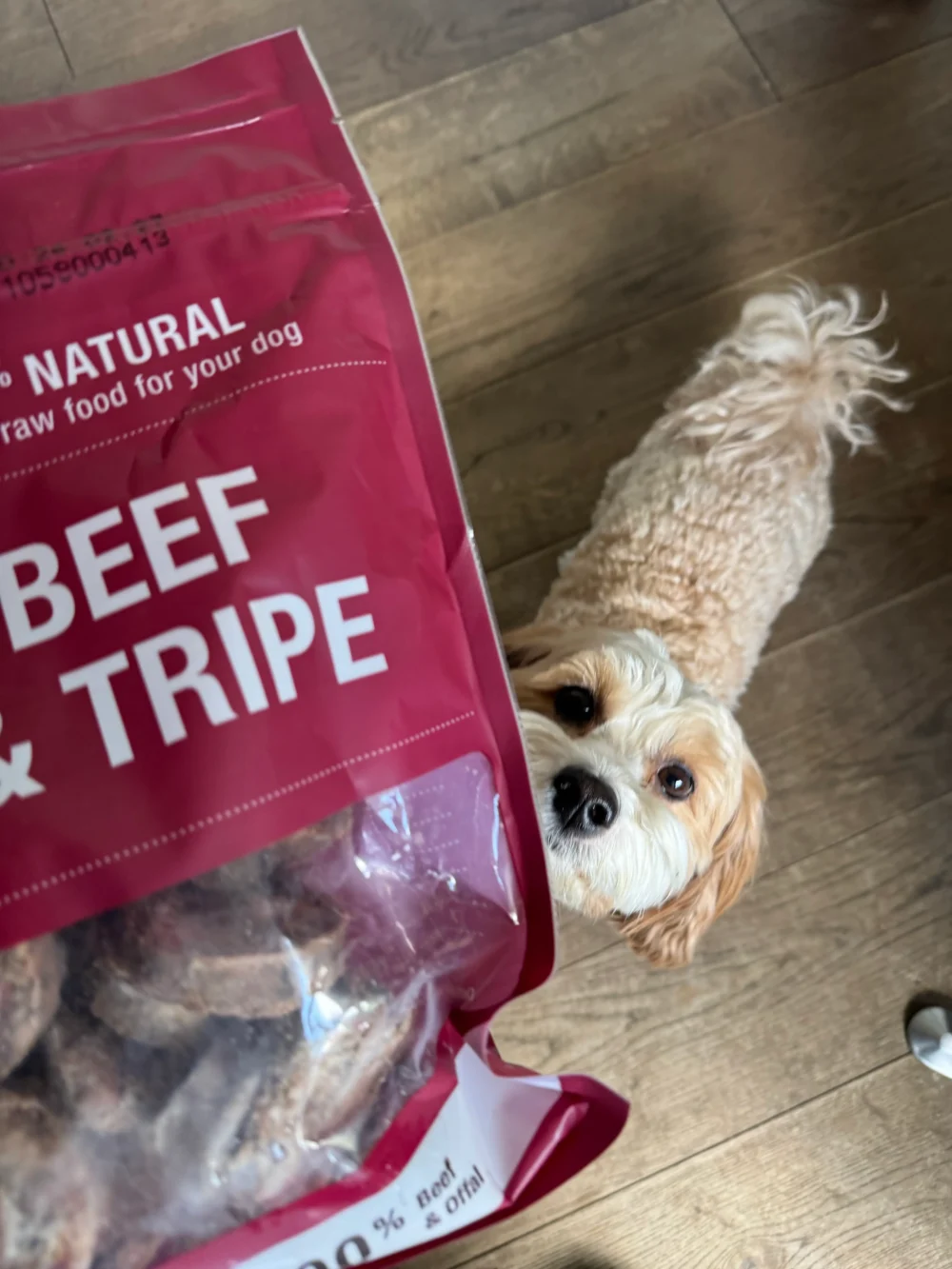 Visavertis jautiena žalias ėdalas šunims su skrandžiais “KOTLETUKAI”, 800 g