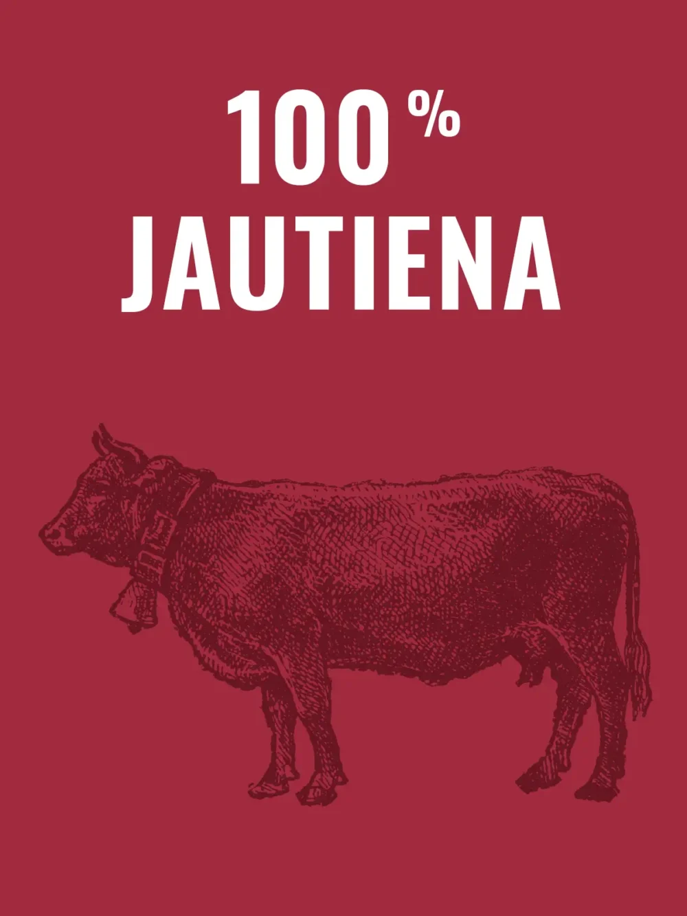 Visavertis jautienos ėdalas šunims su skrandžiais, 500 g