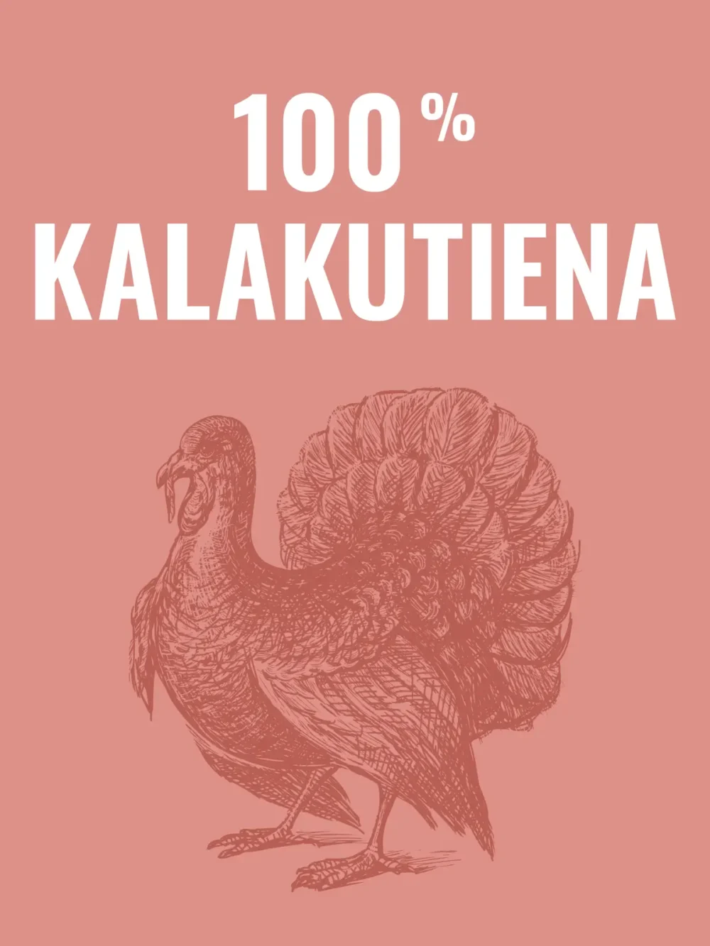 Visavertis kalakutienos ėdalas šunims, 500 g