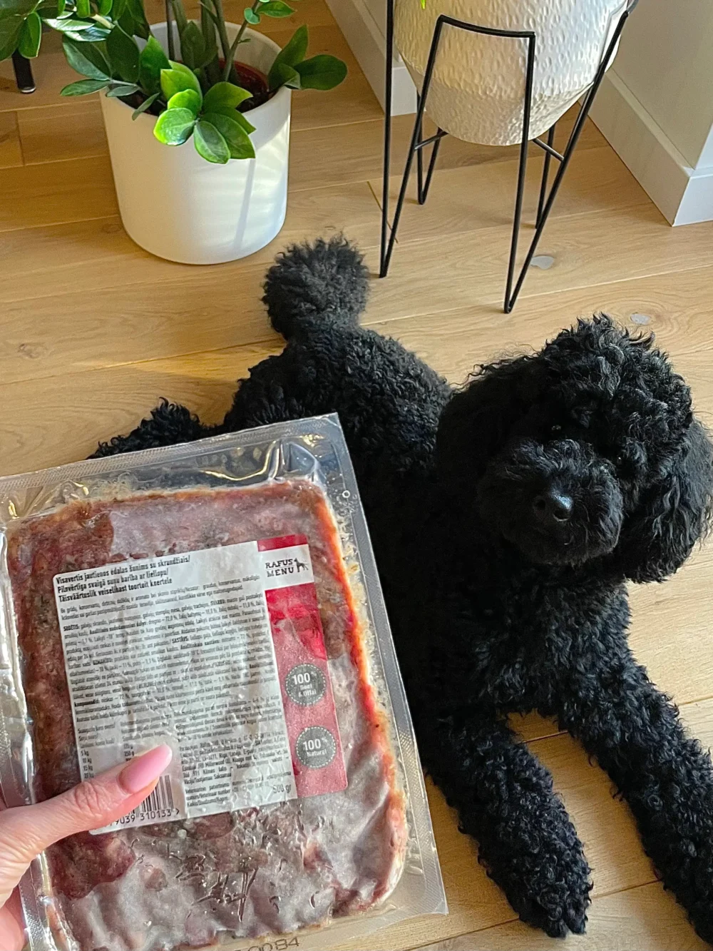 Visavertis jautienos ėdalas šunims su skrandžiais, 500 g