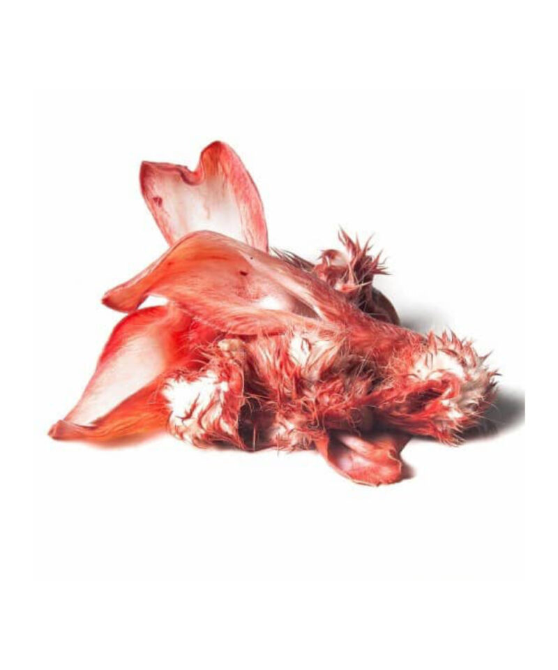 Triušių ausys, 500 g