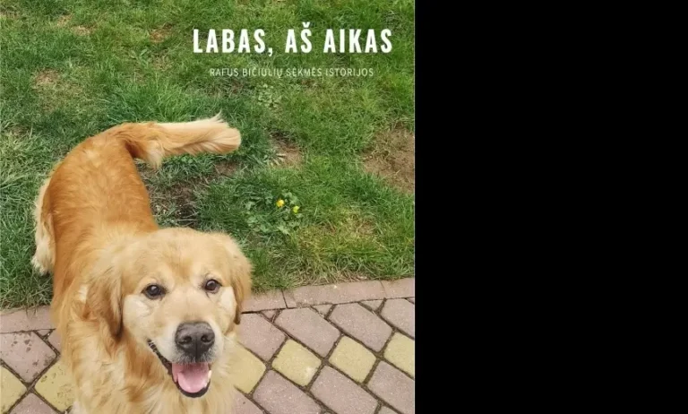 aikas